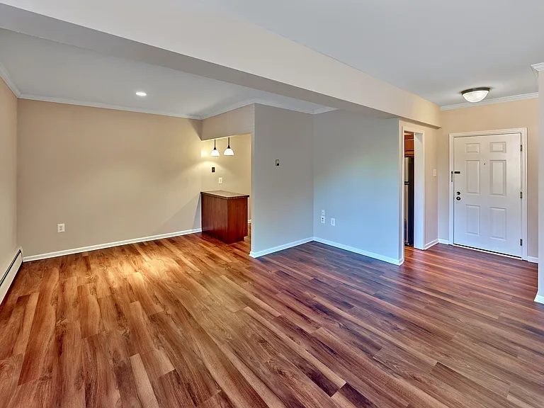 Plank flooring through out