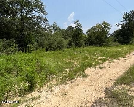 3rd image of 0 Alton Ln