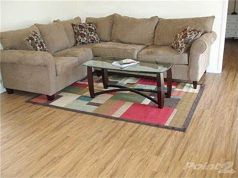 3rd image of 300 Pine Run Dr