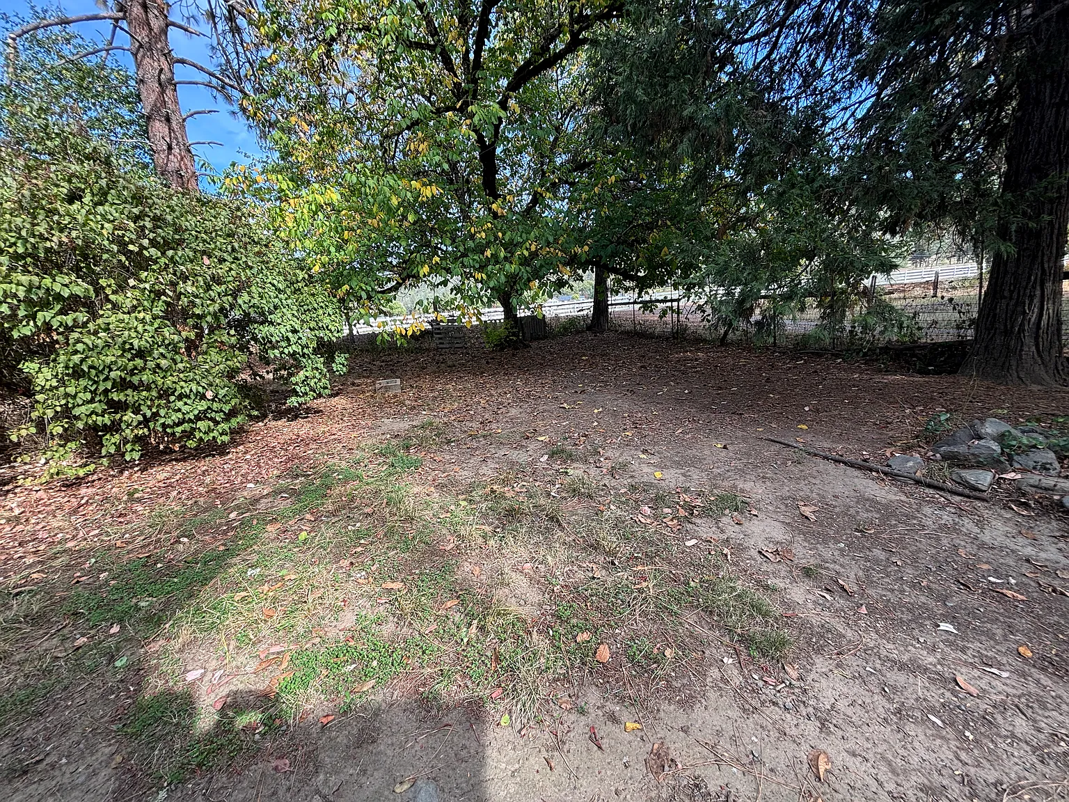 1 bed, 700 sqft, $1,200 — Photo 3
