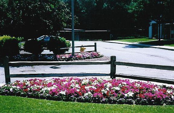 Beautfully Manicured Grounds