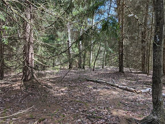 5th image of 435 Daubenspeck Rd