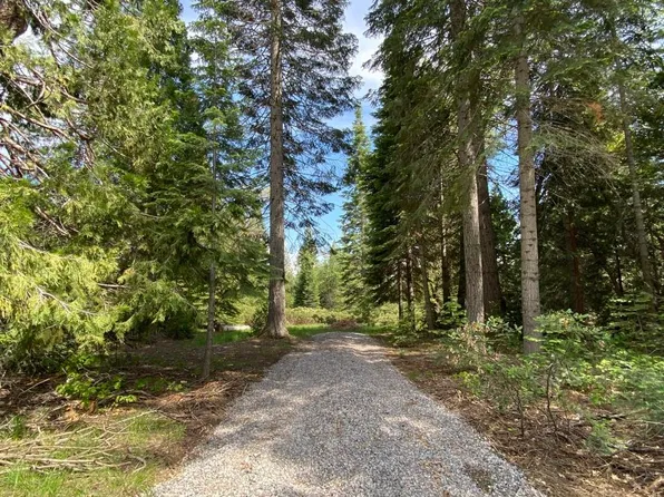 1-M-15 Widow Springs Dr, McCloud, CA 96057