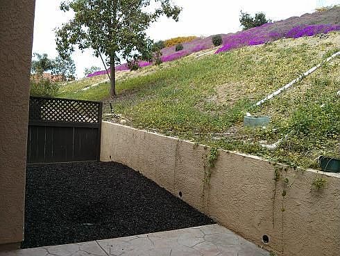 Private Backyard