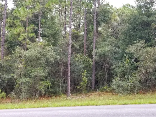 9239 N Irondale Rd, Citrus Springs, FL 34434