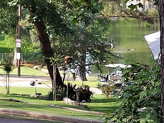 2nd image of 377 Eastwood Loop