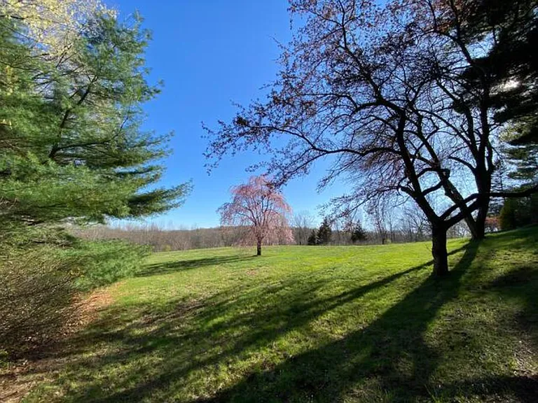 Vast rear yard with walking , biking trails, Apple trees, weeping Cherry Tree