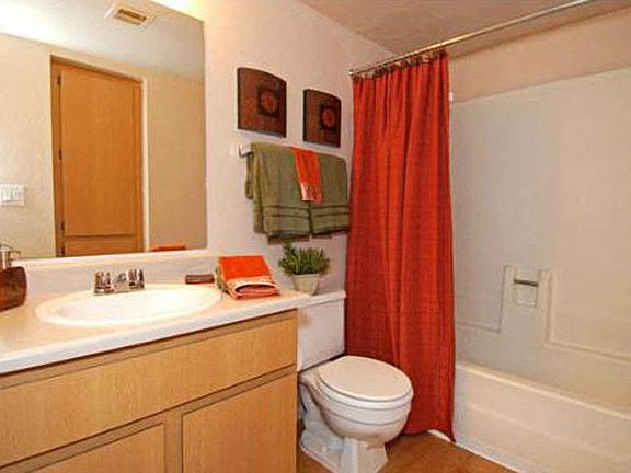 Bathroom with a tub shower