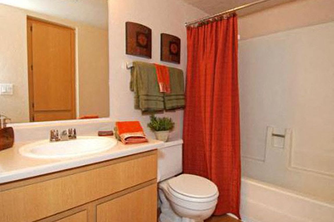 Bathroom with a tub shower