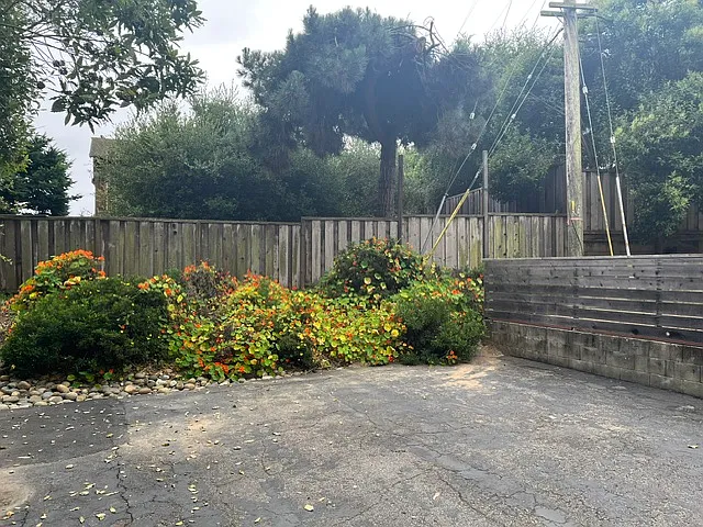 Marea Ave — Photo 21