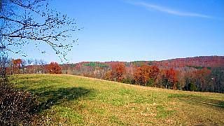 10 BOHA Field w/ 800' stream frontage & gorgeous hillside views