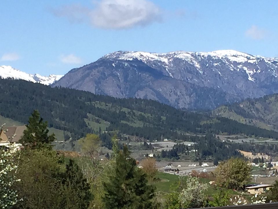 View from deck