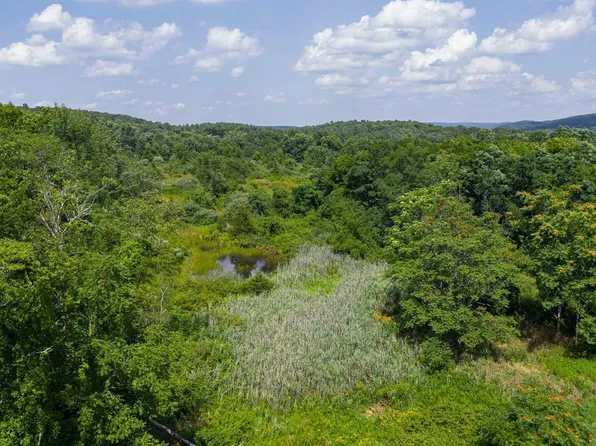 313 JAMESON HILL Road, Clinton Corners, NY 12514