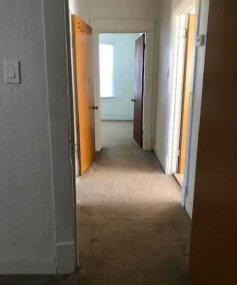 20 Miriam St — Photo 12