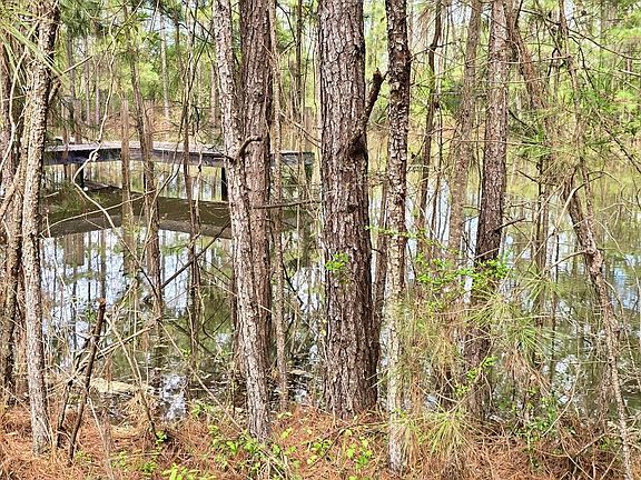 5th image of 12199 Rouchon Ln