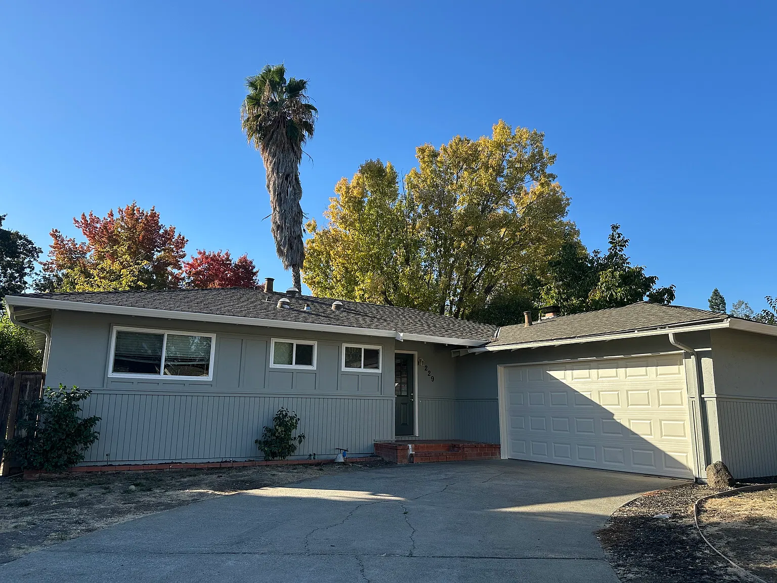 229 Steven Cir — Photo 3