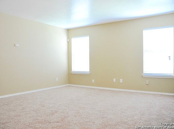 2nd image of 80 Booker Palm