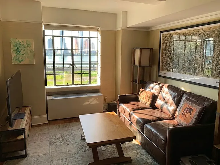 5 Tudor City Pl #A12 — Photo 9