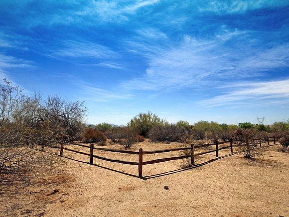 Quail Track3