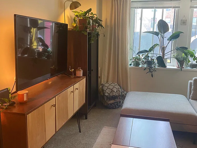 Classic 1BR/1BA+den
