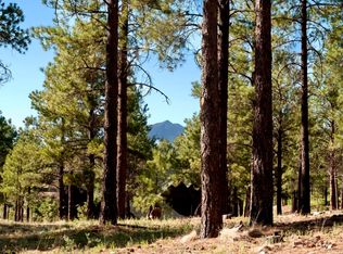 1894 E Myrtlewood Ct, Flagstaff, AZ 86005