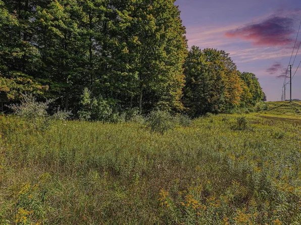 0 Wilson Rd, Buckley, MI 49620