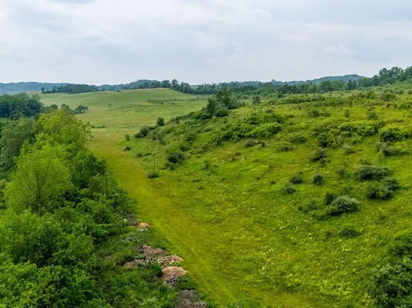 Piney Fork Rd, Dillonvale, OH 43917