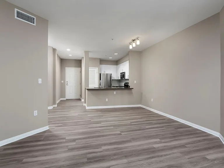 Kitchen and Living and Dining Areas