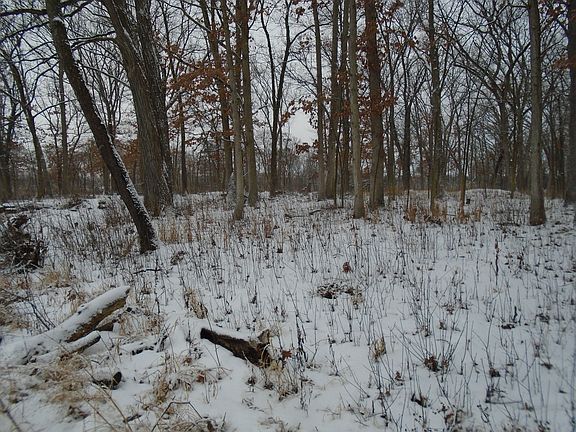 2nd image of 14190 Mettawa Woods Dr Lot 4