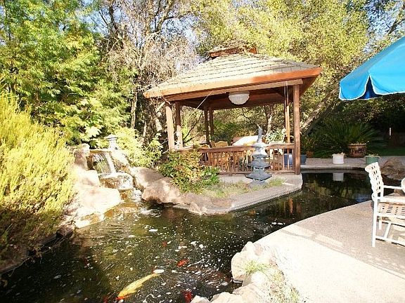 Koi Pond & Patio