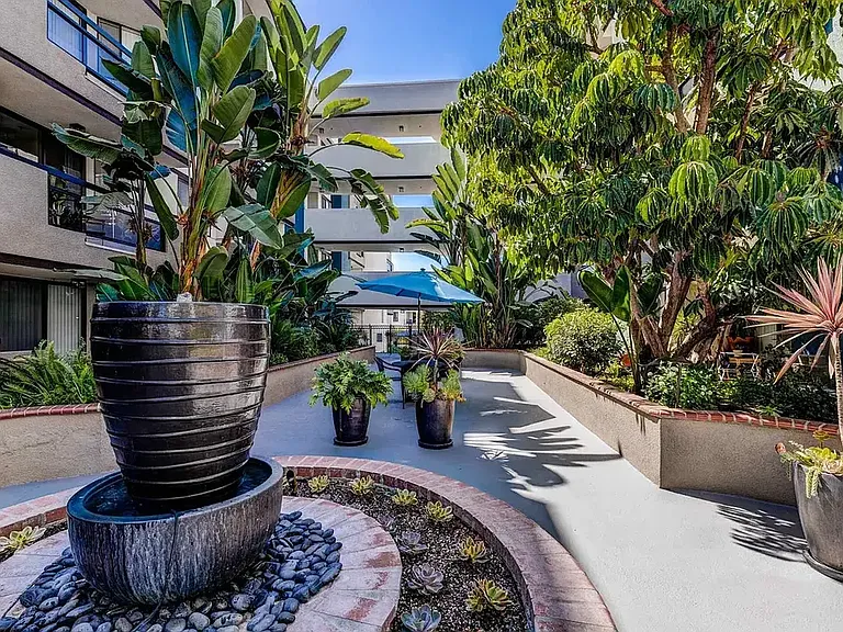 Palm Court — Photo 8