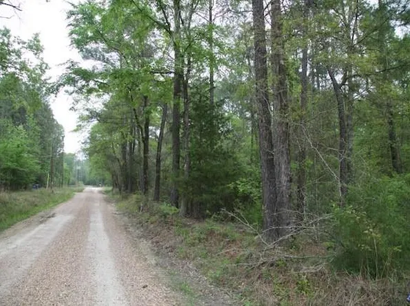 258 Hearne Rd, Corrigan, TX 75939