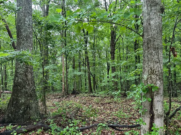 11 Mountain Top Dr Lot 11, Palmer, TN 37365