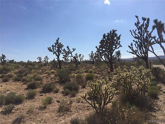 2nd image of LMRO #9 S-17 LOT 3 19TH Street