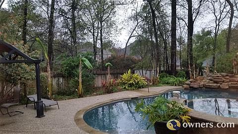 View from Kitchen