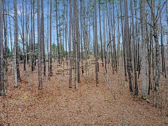 5th image of 25 Piney Ridge Rd