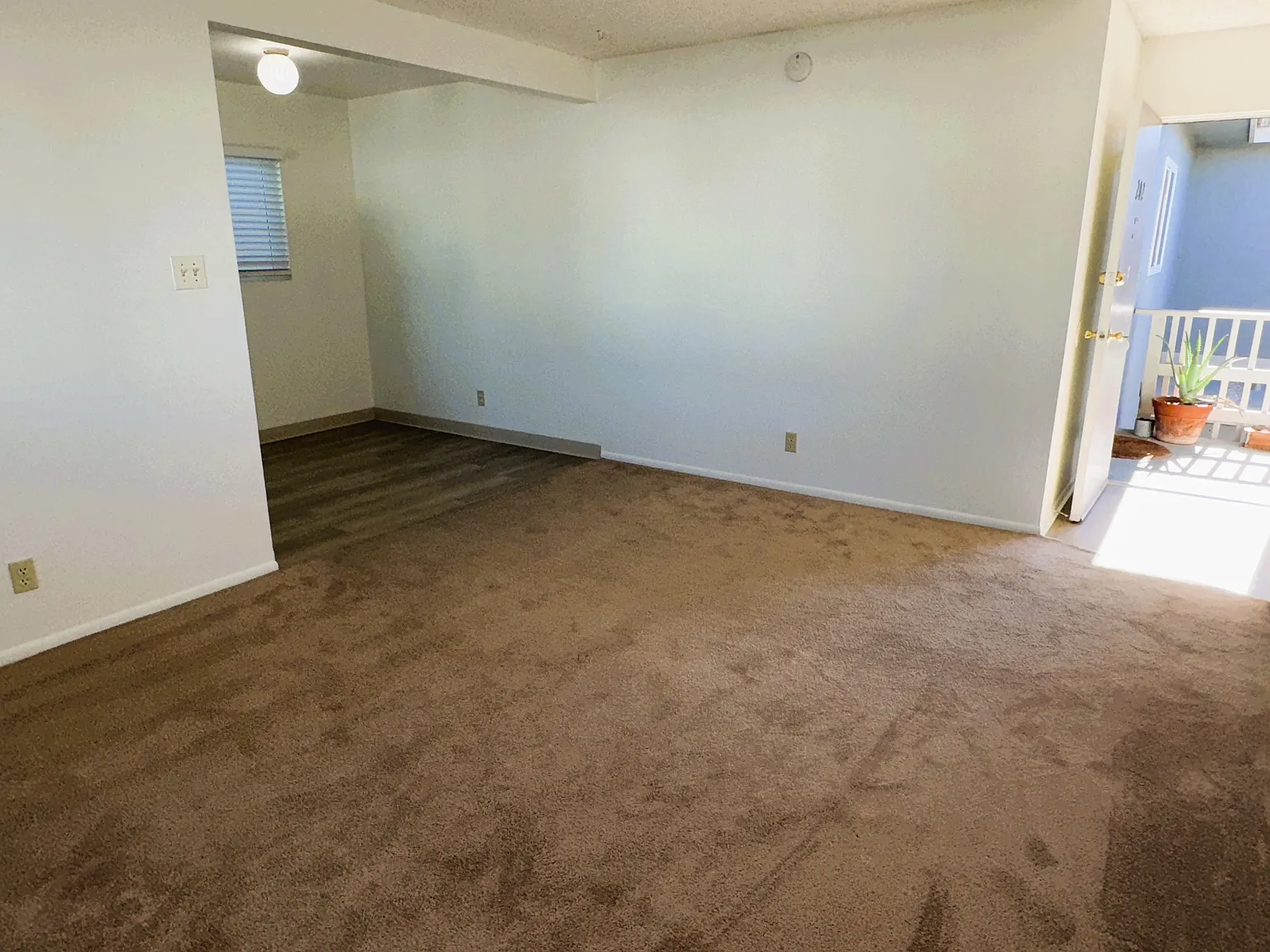2 bed, $2,050 — Photo 3