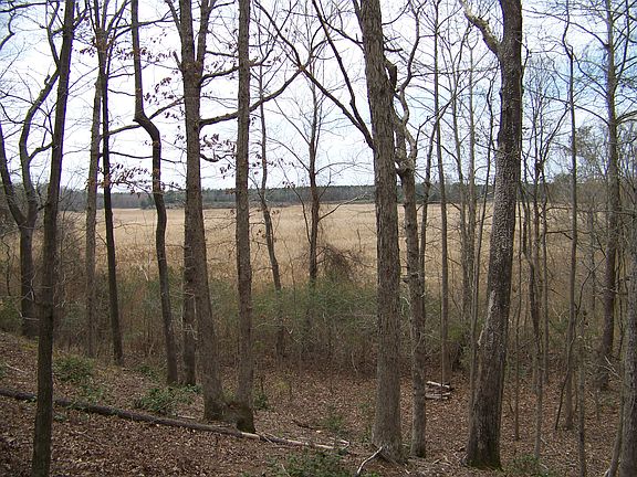 3rd image of 1224 Creekway Dr