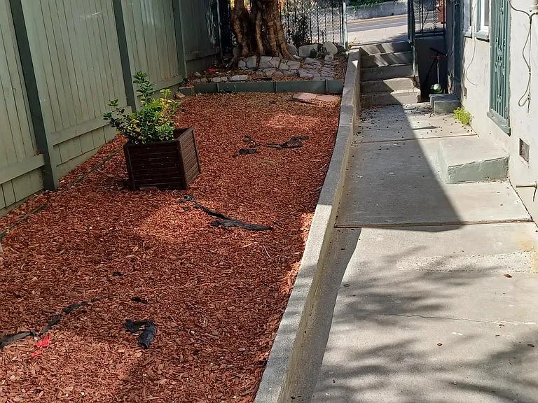 914 Sacramento St #C — Photo 20
