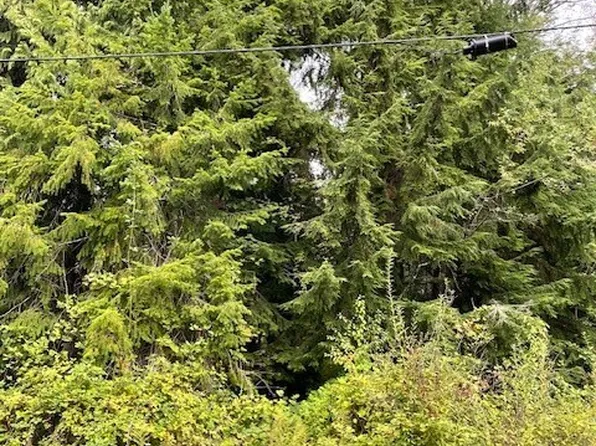 0 (Lot 1) SE Spring Creek Road, Port Orchard, WA 98367
