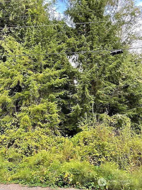 0 (Lot 1) SE Spring Creek Road photo 1