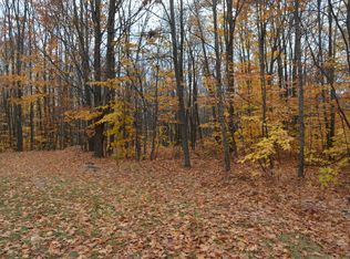 Adams Ct, Wolverine, MI 49799