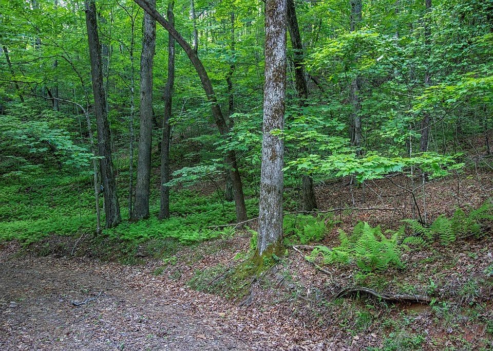 2nd image of 0 Laurel Mountain Dr