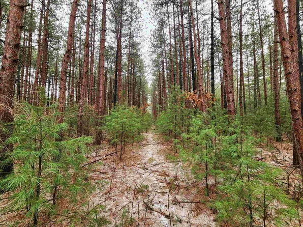 Nhn Phylane Rd, Lone Rock, WI 53556