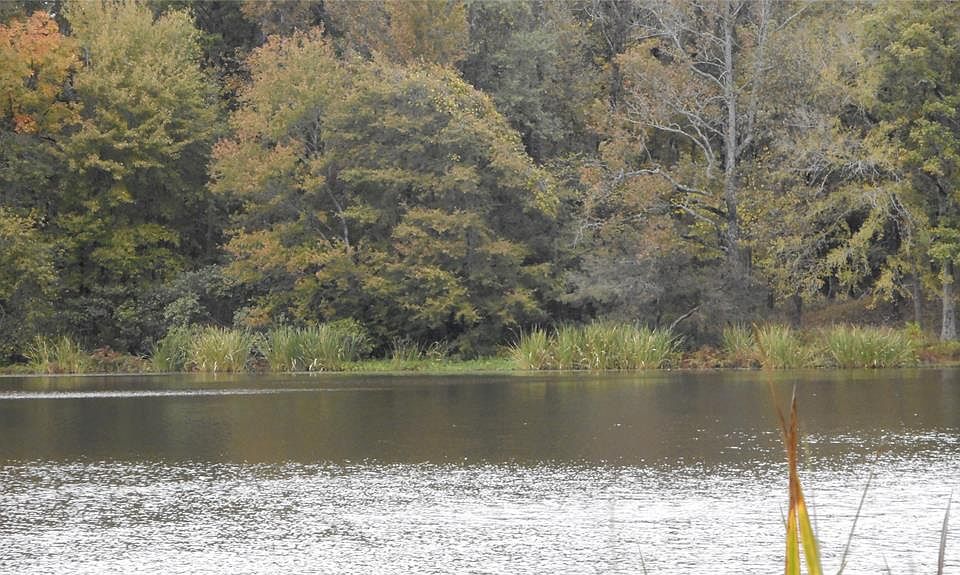1st image of 2764 Private Road 8692 Lot 9-10