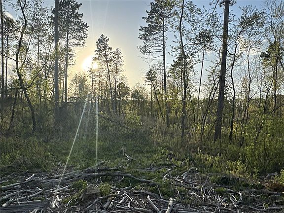 4th image of TBD State Highway 65 - Lot 1