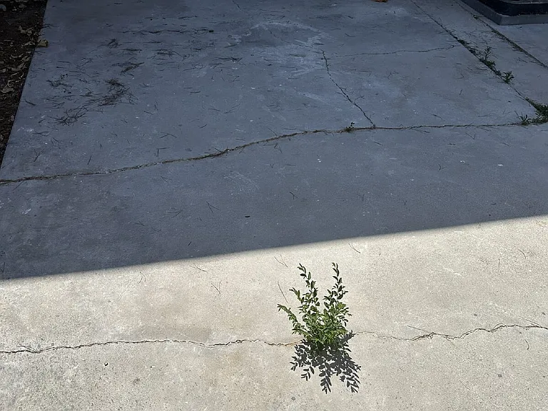 26937 Avenida Terraza — Photo 12