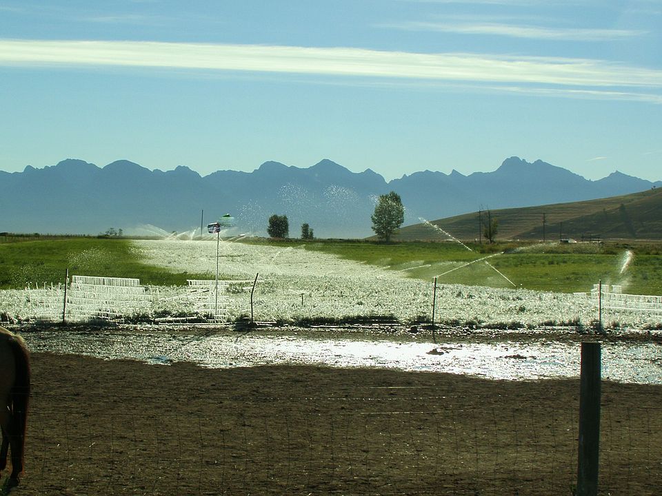 Frosty morning looking east 