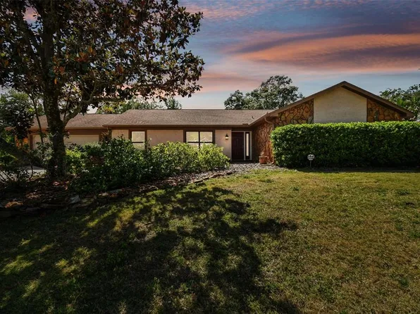 3416 Bent Oak St, Valrico, FL 33596