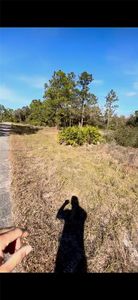 2112 Irving Ave, Alva, FL, 33920